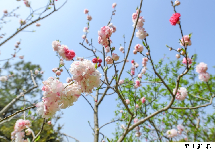 今天三月三，上巳节｜中国古代最浪漫的节日