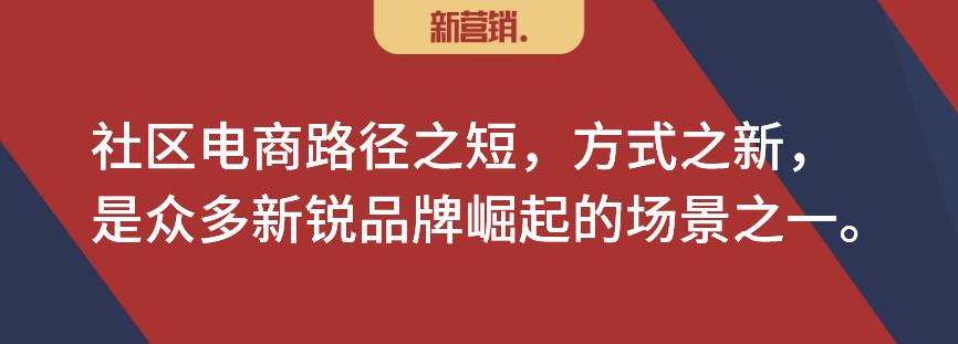 一文搞懂社区团购、社区电商、社区团批、社群拼团